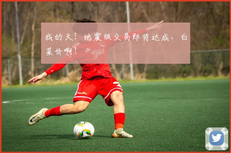 我的天！地震级交易即将达成，白菜价啊!